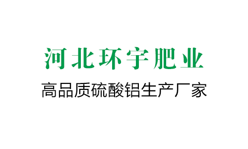 為什么要將商品從木質(zhì)托盤(pán)轉(zhuǎn)移到塑料托盤(pán)